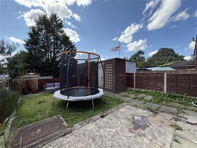 Picture 10